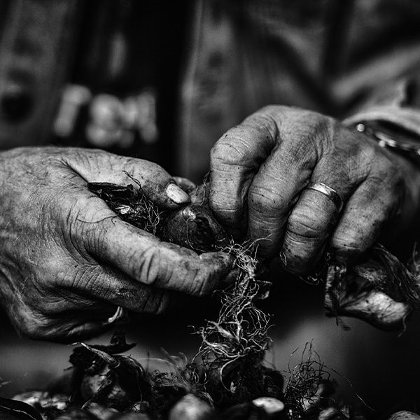 rianne_noordegraaf_hands